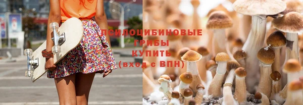 spice Алексеевка