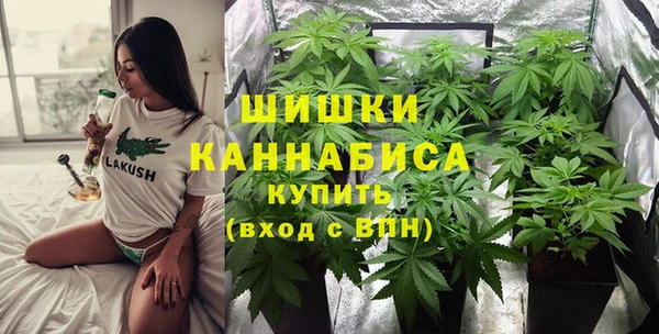 apvp Аркадак