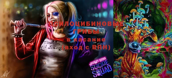 spice Алексеевка