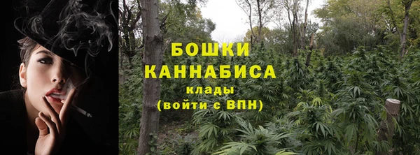 apvp Аркадак