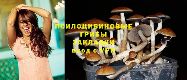 apvp Аркадак