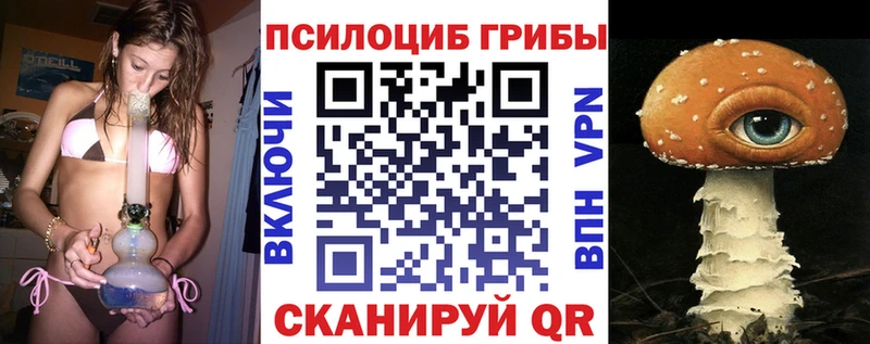 Галлюциногенные грибы мицелий  Курган 
